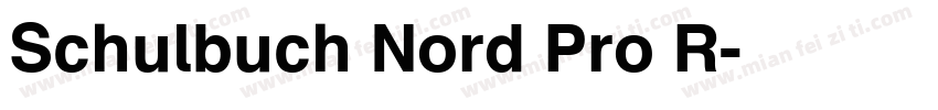Schulbuch Nord Pro R字体转换